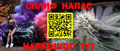 ешки Гагарин