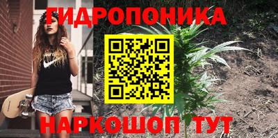 МДМА Гатчина