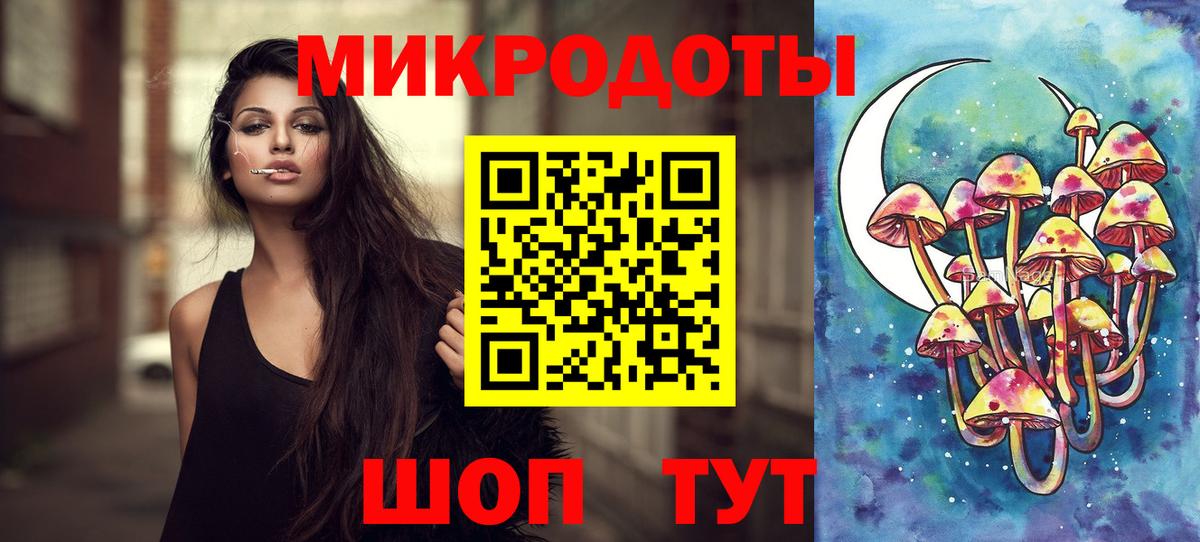 Галлюциногенные грибы Psilocybine cubensis Тара
